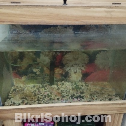 Aquarium
